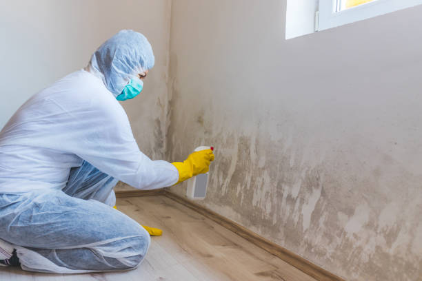 Licensed Bathroom Mold Removal service in Gallitzin, PA - WQB Mold Removal